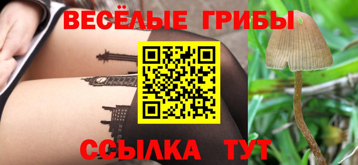 Волхов  Псилоцибиновые грибы Magic Shrooms  Вход с VPN 